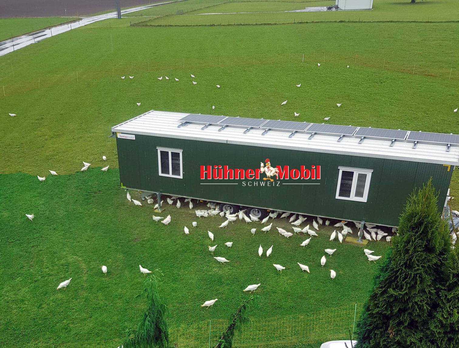 Hebel Nicht in Mode Holz hühnermobil kaufen preis Rat Schublade Vorläufig